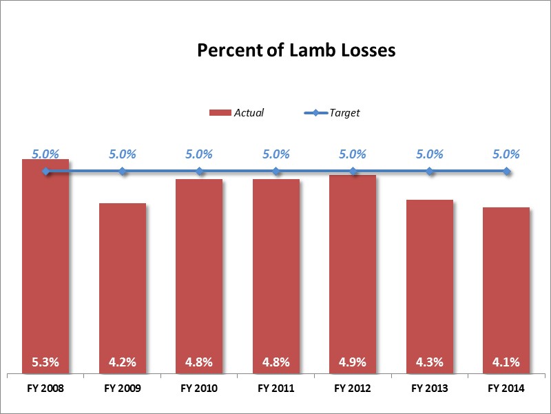  lamb loss 